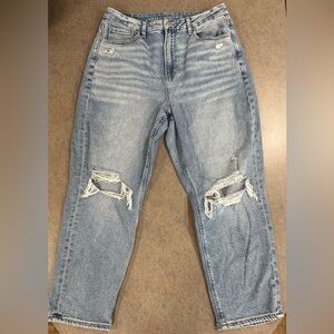 American Eagle Curvy High-Rise Mom Jean